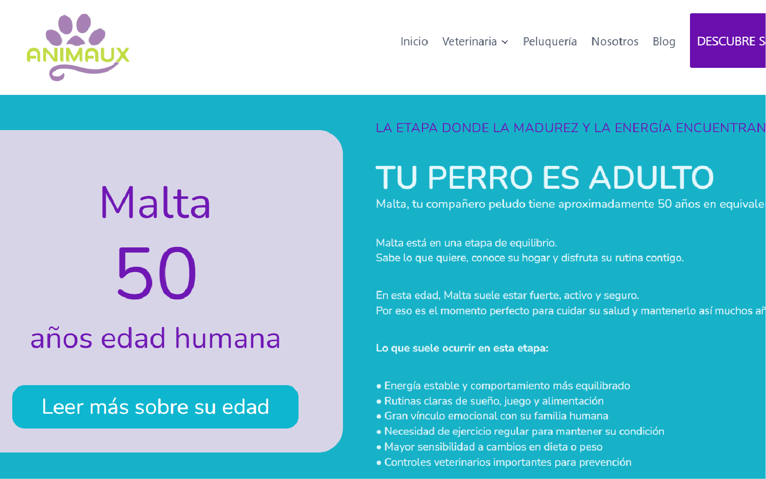 animaux calculadora