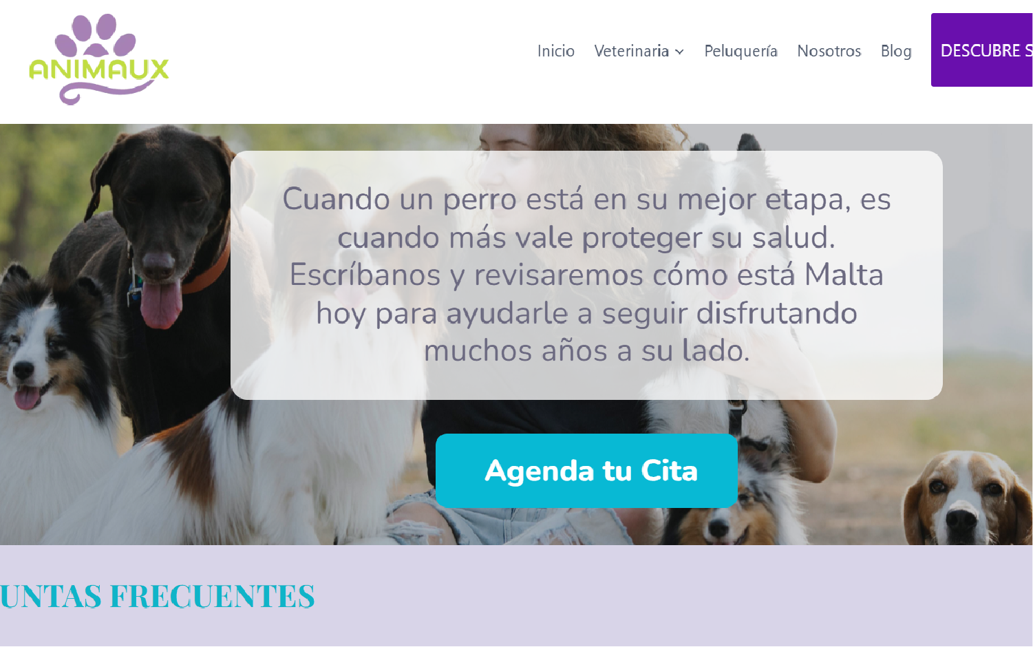 animaux calculadora