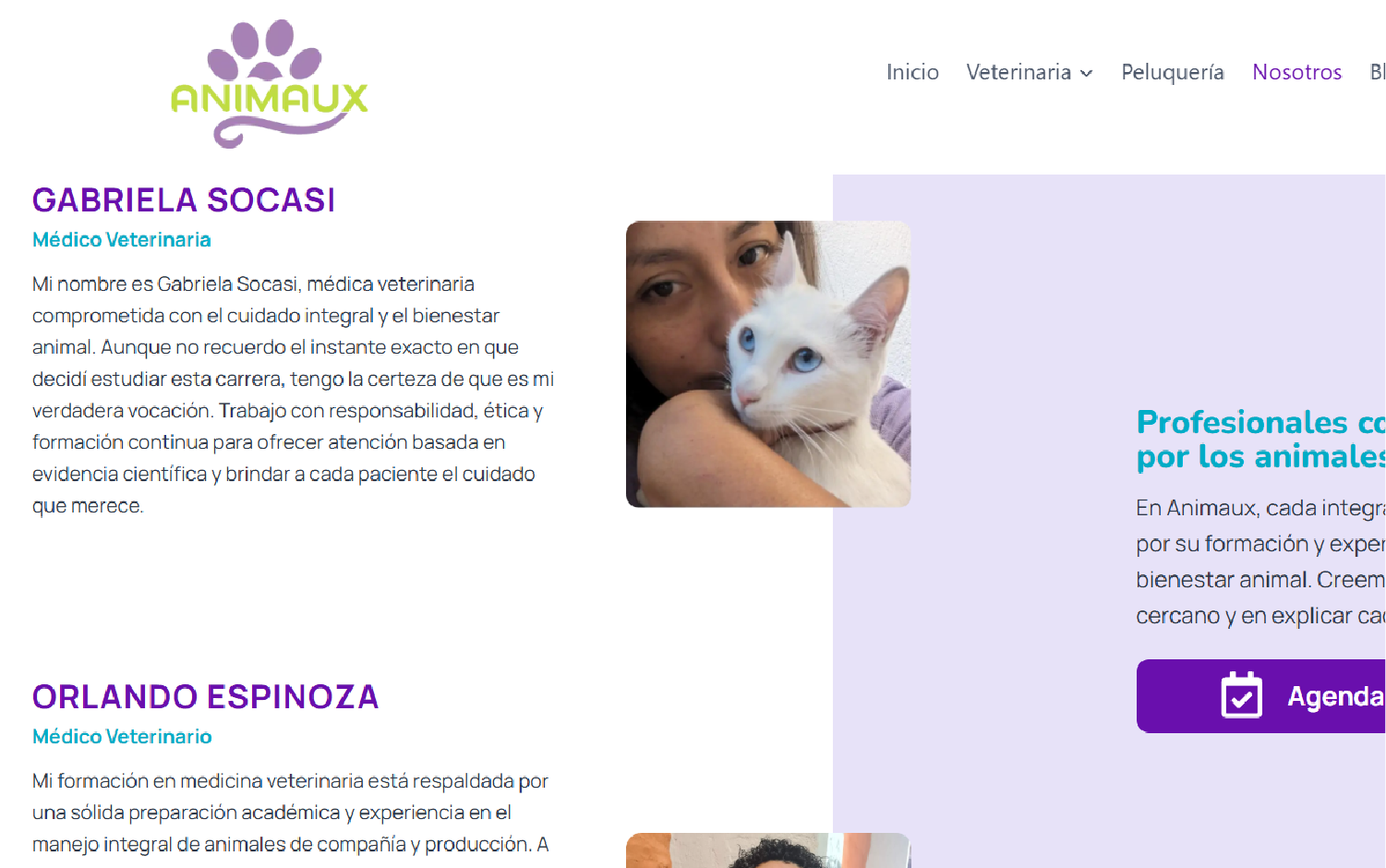 animaux web