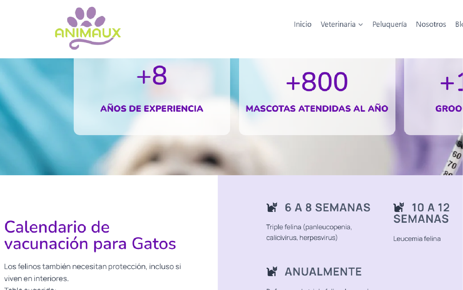 animaux web