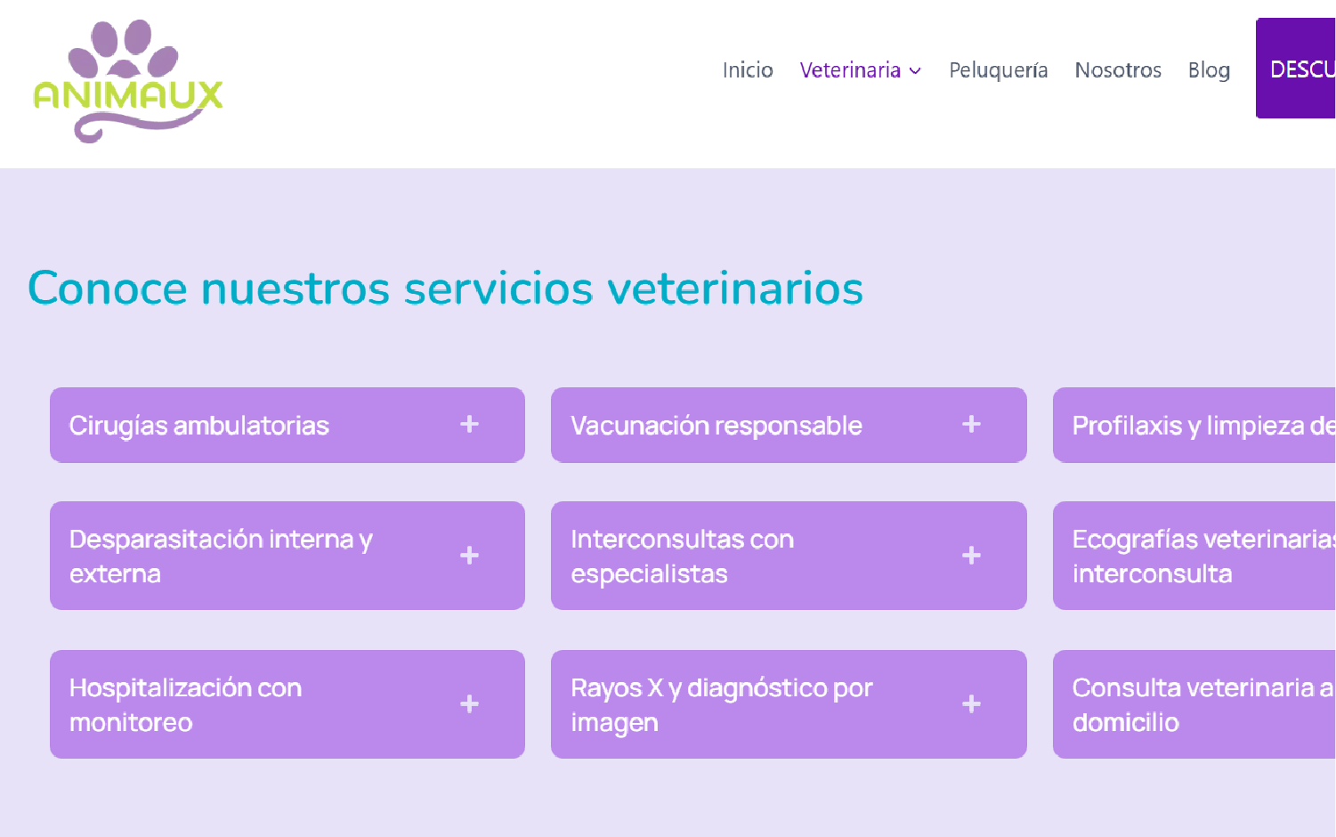 animaux web