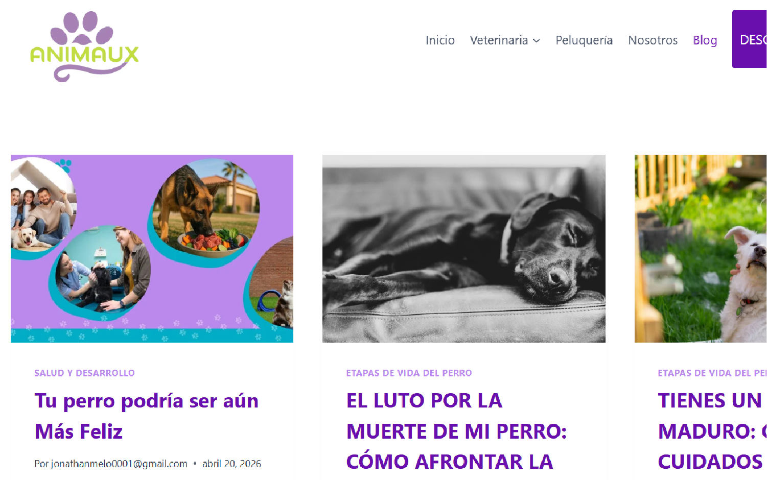 animaux web