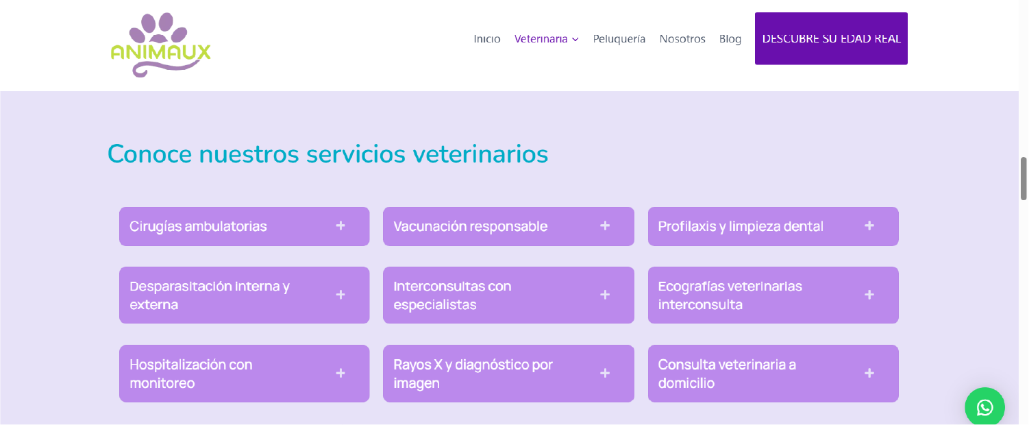 animaux web