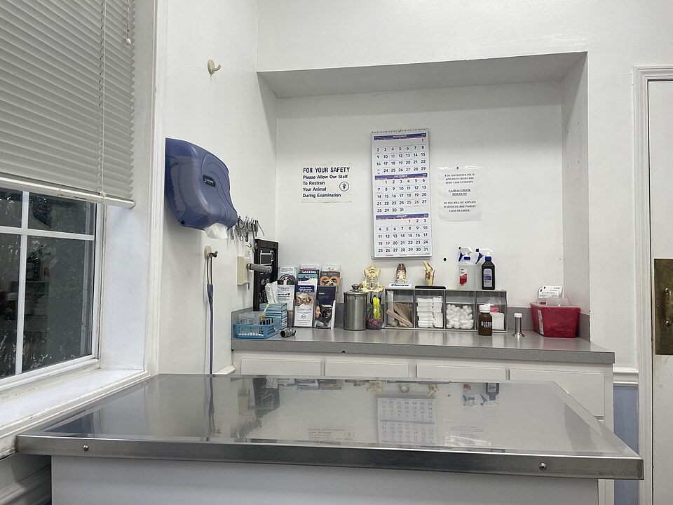 Hospital veterinario para mascotas