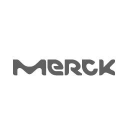 merck hermes seo