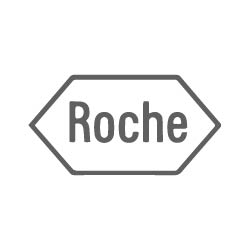 roche hermes seo